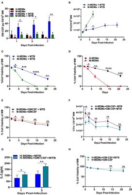 GM-CSF Dependent Differential Control of Mycobacterium tuberculosis Infection in Human and Mouse Macrophages: Is Macrophage Source of GM-CSF Critical to Tuberculosis Immunity?